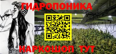 mdpv Лесосибирск