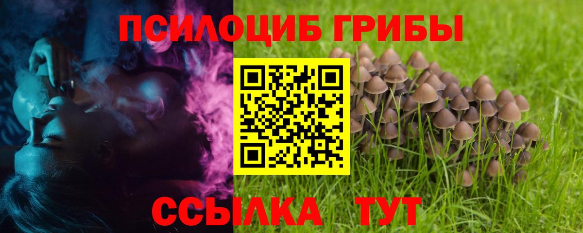 Галлюциногенные грибы Cubensis  Вход с VPN  Псилоцибиновые грибы Cubensis  Алапаевск 
